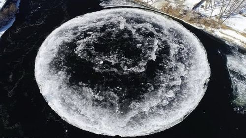 神秘圓盤驚現河流 星際之門還是未知現象？